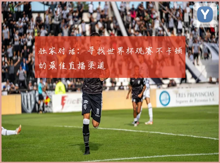 独家对话：寻找世界杯观赛不卡顿的最佳直播渠道