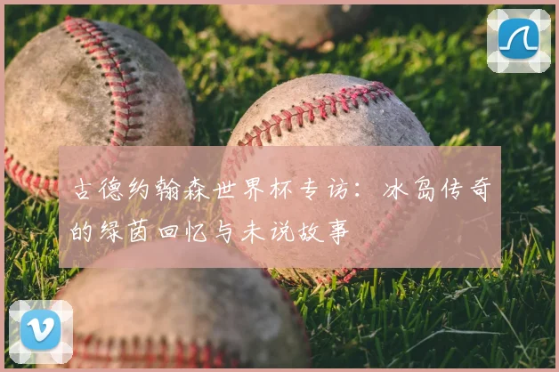 古德约翰森世界杯专访：冰岛传奇的绿茵回忆与未说故事