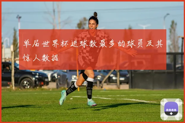 单届世界杯进球数最多的球员及其惊人数据