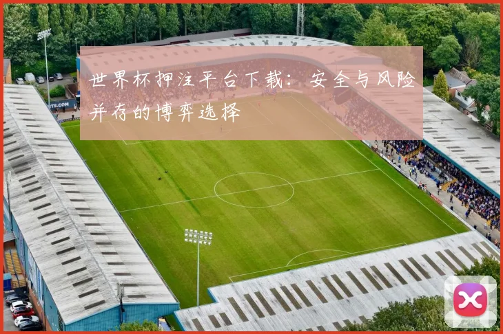 世界杯押注平台下载：安全与风险并存的博弈选择
