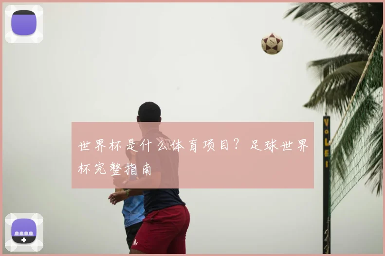 世界杯是什么体育项目?足球世界杯完整指南