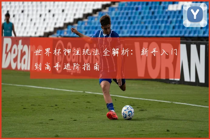 世界杯押注玩法全解析：新手入门到高手进阶指南
