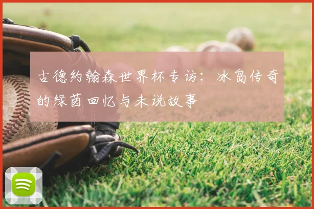 古德约翰森世界杯专访：冰岛传奇的绿茵回忆与未说故事