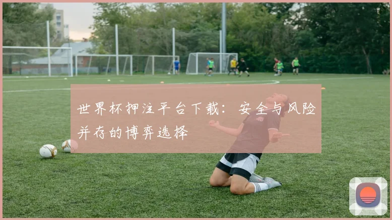世界杯押注平台下载：安全与风险并存的博弈选择