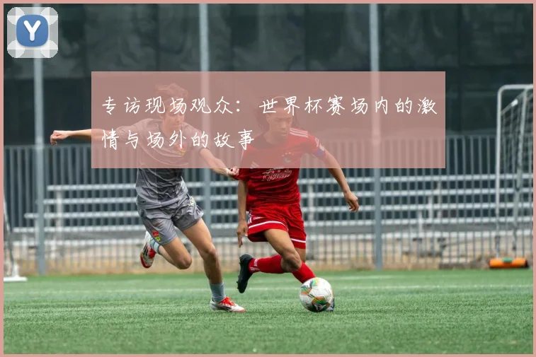 专访现场观众：世界杯赛场内的激情与场外的故事