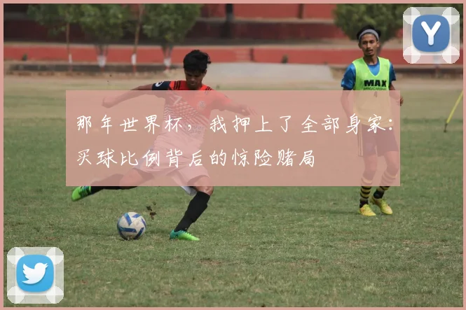 那年世界杯，我押上了全部身家：买球比例背后的惊险赌局