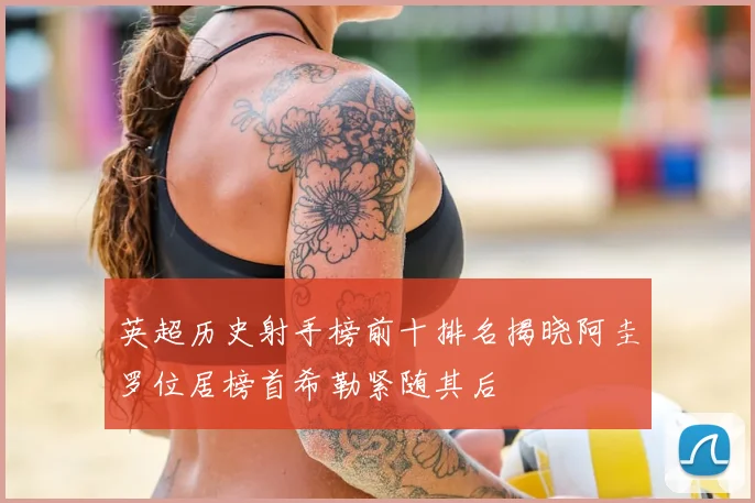 英超历史射手榜前十排名揭晓阿圭罗位居榜首希勒紧随其后